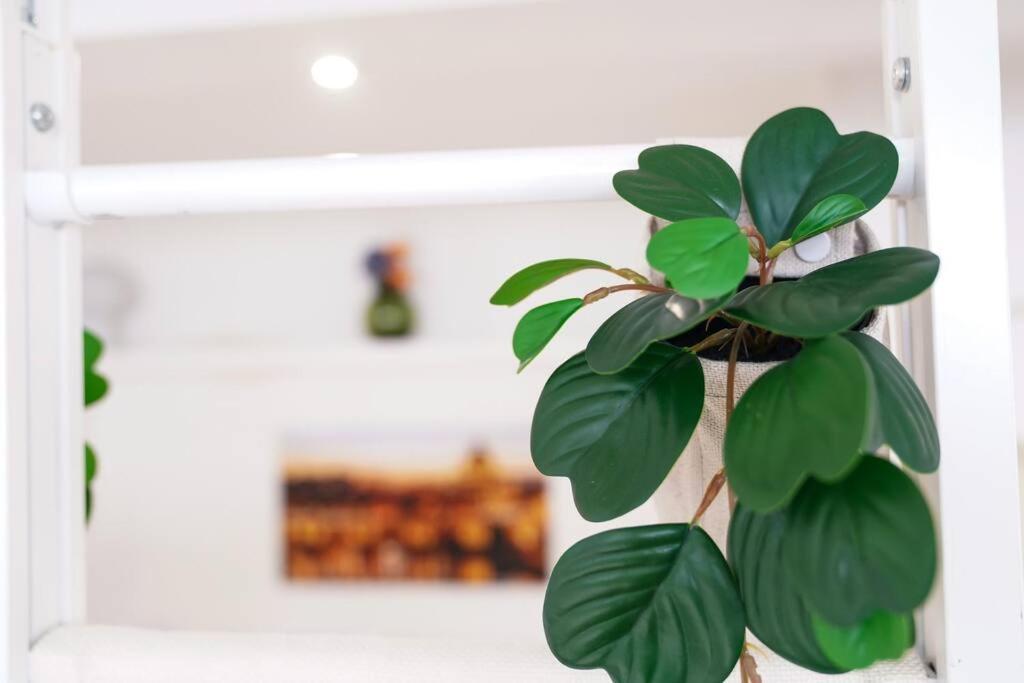 罗马Babuino Terrace公寓 外观 照片